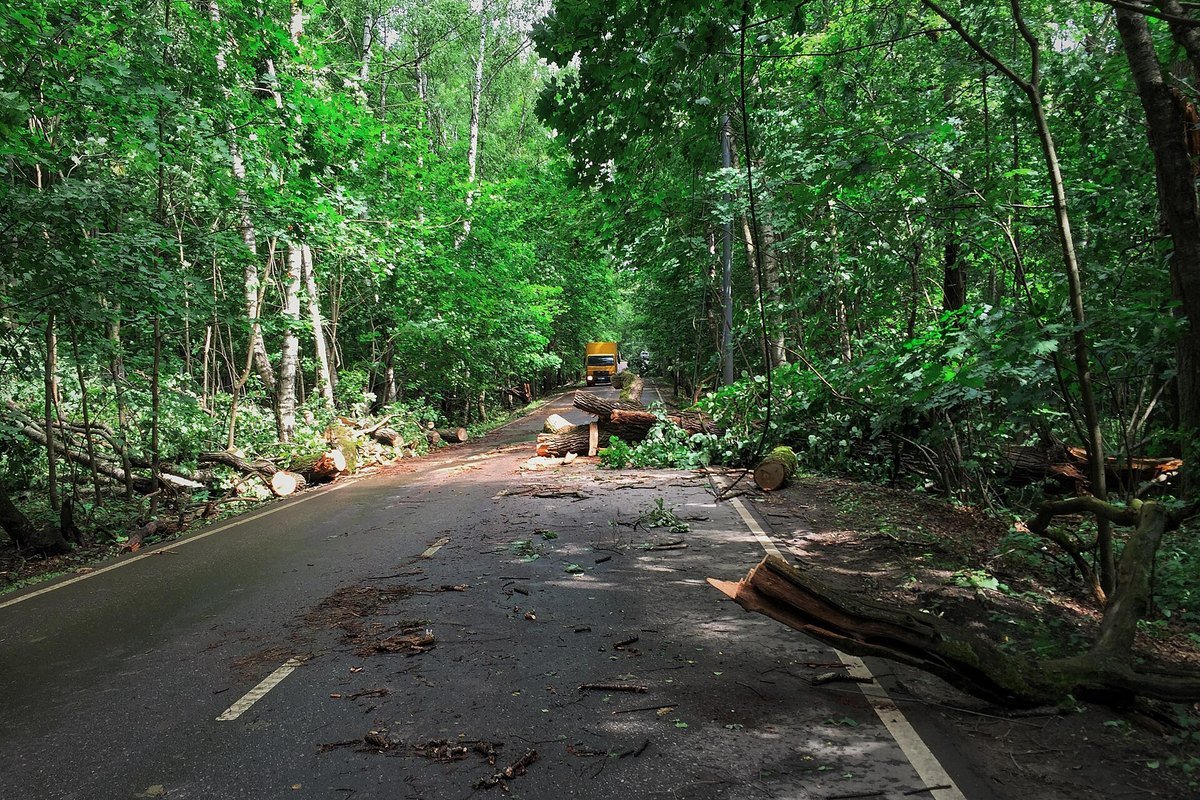 The day after the 13.07.2016 hurricane.